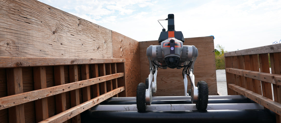 Beyond Mobility: Unlocking the Versatile Potential of the InDro Prowler