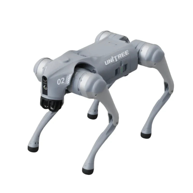 Robot Dogs