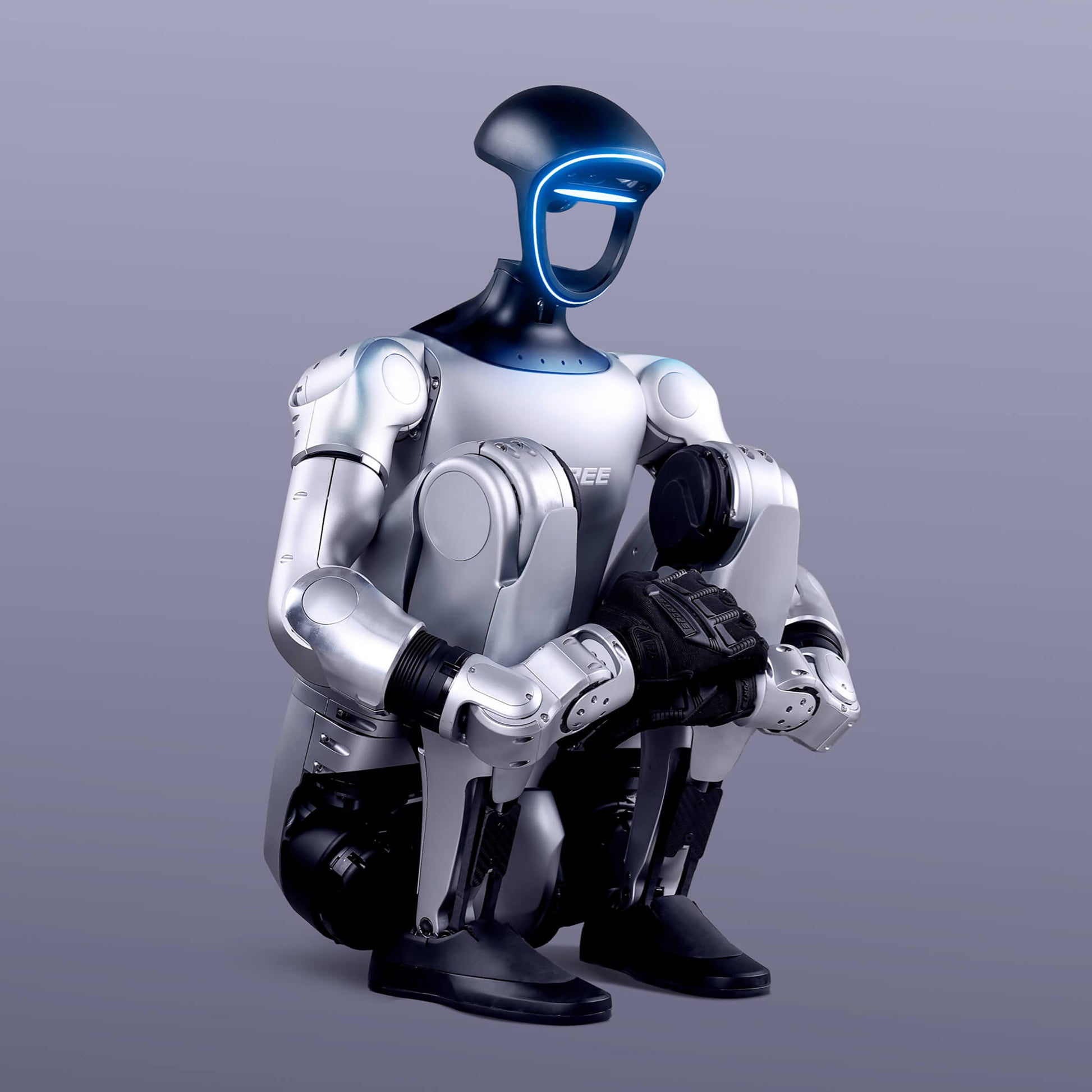 G1 Humanoid Crouching