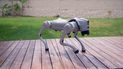 GO2 Quadruped
