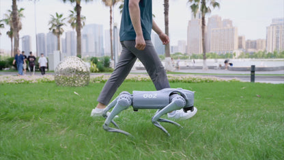 GO2 Quadruped