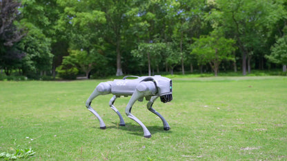 GO2 Quadruped